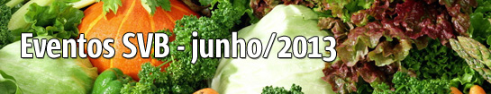 masthead AGENDA so junho2013