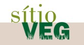 logo_sitioveg.jpg