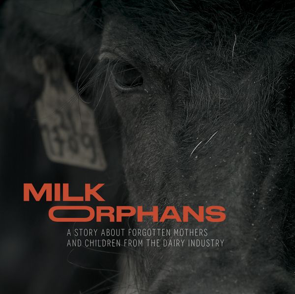 Milk Orphans short film - Directed by Larissa Maluf